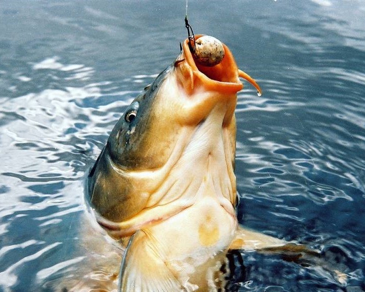 fisketur billede rettet